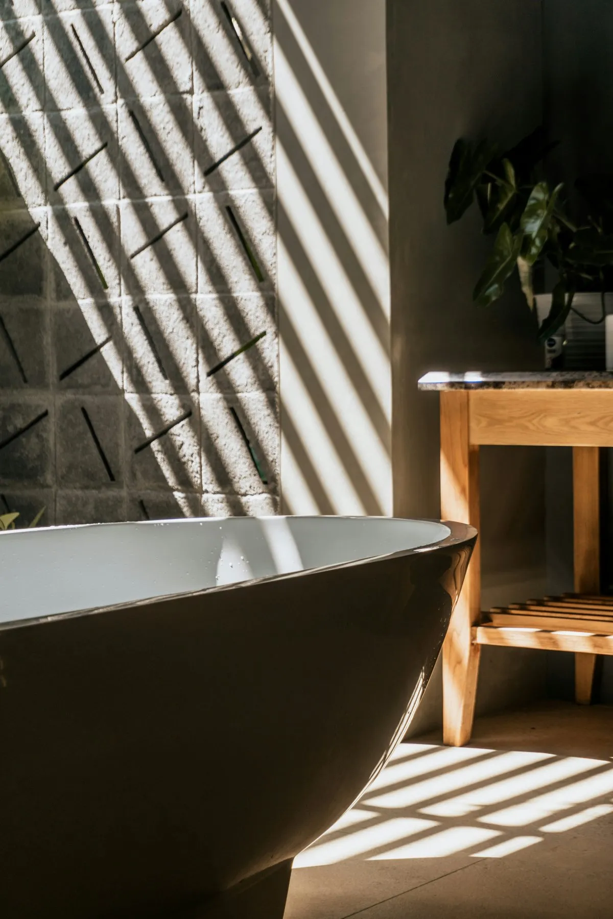 Freestanding tub in dramatic natural light